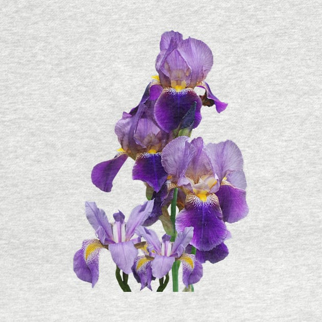 Irises Flower Plant Gardening Gardener Lover Gift Tennessee by twizzler3b